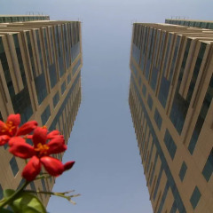 Отель Media Rotana Dubai фото 3
