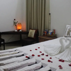 Отель Hoi An Coco Couple Homestay комната для гостей фото 5