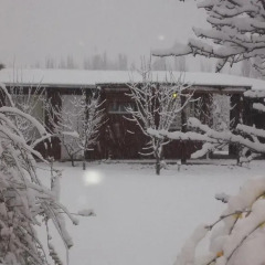 Отель Villa Ciruelos Сан-Рафаэль спортивное сооружение