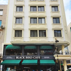 Black Bird Hotel городской автобус