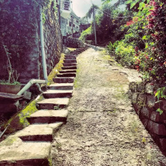 Отель DaLat Inn Homestay Далат фото 4