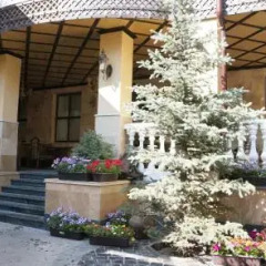 Гостиница Egorkino Hotel Казахстан, Нур-Султан - отзывы, цены и фото номеров - забронировать гостиницу Egorkino Hotel онлайн фото 2