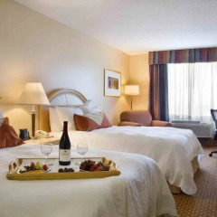 Отель Hilton Garden Inn Orlando at SeaWorld в номере фото 2