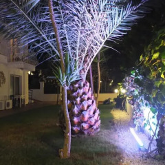 Lapis Port Sorf Hotel Чешме фото 3