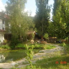 Отель Family Hotel Smolena Болгария, Чепеларе - отзывы, цены и фото номеров - забронировать отель Family Hotel Smolena онлайн приотельная территория