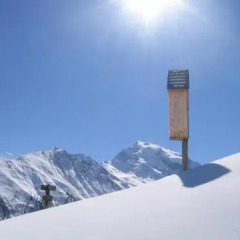 Отель Gasthof zur Sonne Стельвио спортивное сооружение