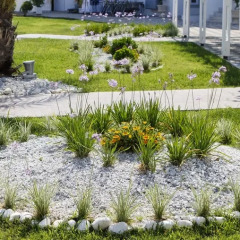 Отель More Meni Residence Греция, Калимнос - отзывы, цены и фото номеров - забронировать отель More Meni Residence онлайн фото 2