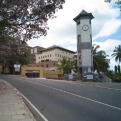Отель Villa Sandalwood Канди