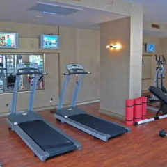 Elite Hotel Dragos фитнесс-зал фото 2