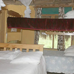Отель Oasis Eco Camp