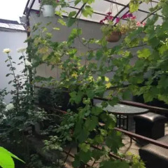 Гостиница Sea Gate Guest house в Анапе отзывы, цены и фото номеров - забронировать гостиницу Sea Gate Guest house онлайн Анапа фото 7