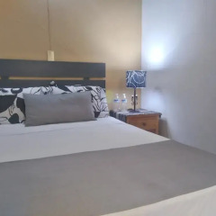 Central Downtown Guadalajara Hotel комната для гостей фото 4