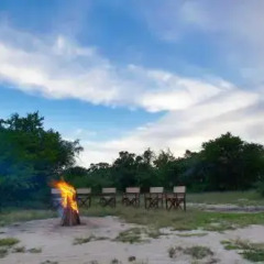 Отель Wild Trails Yala Tented Safari Camp By Yoho детские мероприятия фото 2