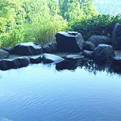 Отель Gokan Resort Ushidake Тояма