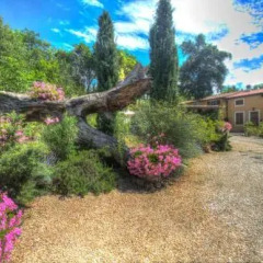 Отель Villaggio Paradiso casa vacanze Монтеварчи фото 3