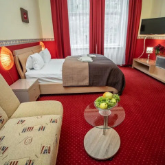 Отель Residence Goethe U Trí Mourenínu комната для гостей