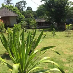 Отель Private Lodge Beachside Samui Lamai Таиланд, Самуи - отзывы, цены и фото номеров - забронировать отель Private Lodge Beachside Samui Lamai онлайн фото 12