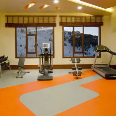 Kaya Palazzo Ski & Mountain Resort Турция, Болу - отзывы, цены и фото номеров - забронировать отель Kaya Palazzo Ski & Mountain Resort онлайн фитнесс-зал