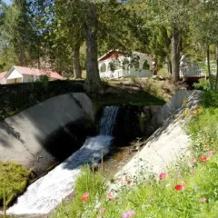 Отель Tioga Lodge Ли Вайнинг фото 5