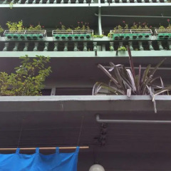 Nesuto Hostel & Cafe Ramkamhaeng 52 гостиничный бар