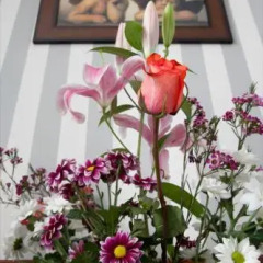 Отель Hostal San Isidro
