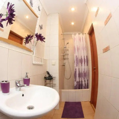 Отель Day Dream Inn Санкт-Петербург ванная