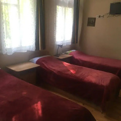 Отель Parko Vila Литва, Друскининкай - 1 отзыв об отеле, цены и фото номеров - забронировать отель Parko Vila онлайн комната для гостей фото 2