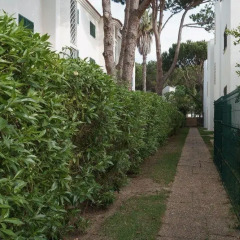 Отель Akisol Vilamoura Emerald II Португалия, Виламура - отзывы, цены и фото номеров - забронировать отель Akisol Vilamoura Emerald II онлайн фото 2