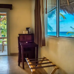 Petit Lafitte Hotel удобства в номере фото 2