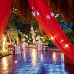 Отель Melia Puerto Vallarta - Все включено бассейн фото 3