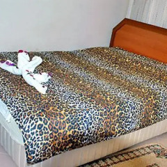 Antik Boutique Hotel сауна