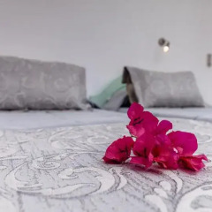 Отель Avraki Hotel Греция, Остров Санторини - отзывы, цены и фото номеров - забронировать отель Avraki Hotel онлайн в номере фото 2