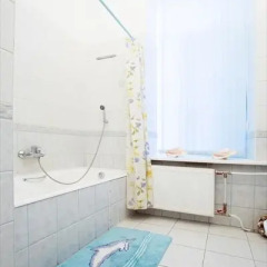 Апартаменты SPB Rentals Apartment Санкт-Петербург спа фото 3