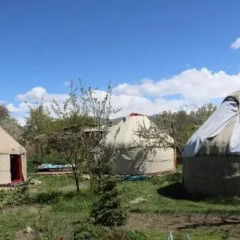Отель B&B at Bailanysh Кыргызстан, Каракол - отзывы, цены и фото номеров - забронировать отель B&B at Bailanysh онлайн фото 6
