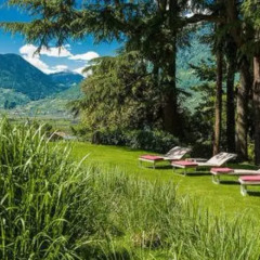 Отель Villa Eden Leading Park Retreat Италия, Меран - отзывы, цены и фото номеров - забронировать отель Villa Eden Leading Park Retreat онлайн фото 9