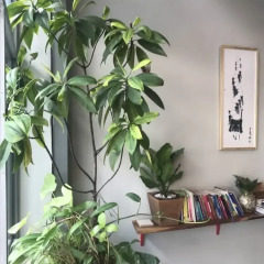 Nesuto Hostel & Cafe Ramkamhaeng 52 интерьер отеля фото 2