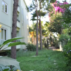 Park Mar Apart Турция, Мармарис - отзывы, цены и фото номеров - забронировать отель Park Mar Apart онлайн фото 2