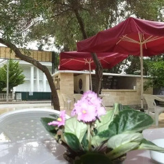 Kemer Park Hotel фото 15