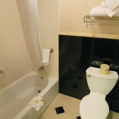 Отель Apartamentos Regina ванная