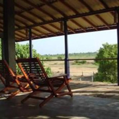 Отель Yala First Hostel Шри-Ланка, Тиссамахарама - отзывы, цены и фото номеров - забронировать отель Yala First Hostel онлайн