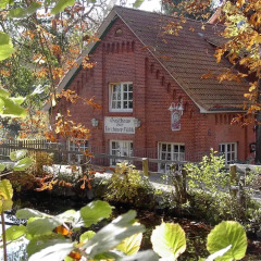 Hotel Farchauer Mühle фото 11