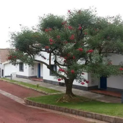 Отель Apartamentos Turísticos Nossa Senhora da Estrela фото 2