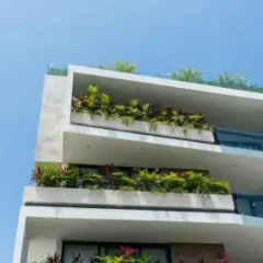Отель Opal Suites Мексика, Плая-дель-Кармен - отзывы, цены и фото номеров - забронировать отель Opal Suites онлайн городской автобус
