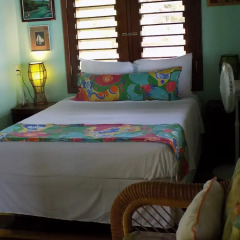 Отель Mango Creek Lodge комната для гостей фото 4
