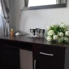 Апартаменты Zoya Apartment удобства в номере фото 2