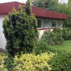 Отель Risskov Bellevue Guesthouse Дания, Орхус - отзывы, цены и фото номеров - забронировать отель Risskov Bellevue Guesthouse онлайн фото 2