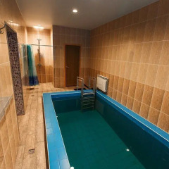 Гостиница Park hotel Shishka в Новосибирске отзывы, цены и фото номеров - забронировать гостиницу Park hotel Shishka онлайн Новосибирск бассейн фото 2