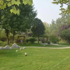 Отель Xinxiang Hotspring Conference Center развлечения