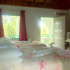 Отель Coral Seas Beach Resort комната для гостей фото 5