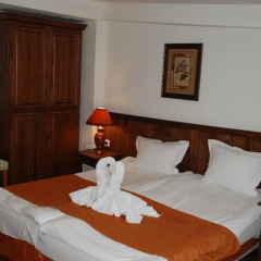 Elegant Lodge Hotel комната для гостей фото 5